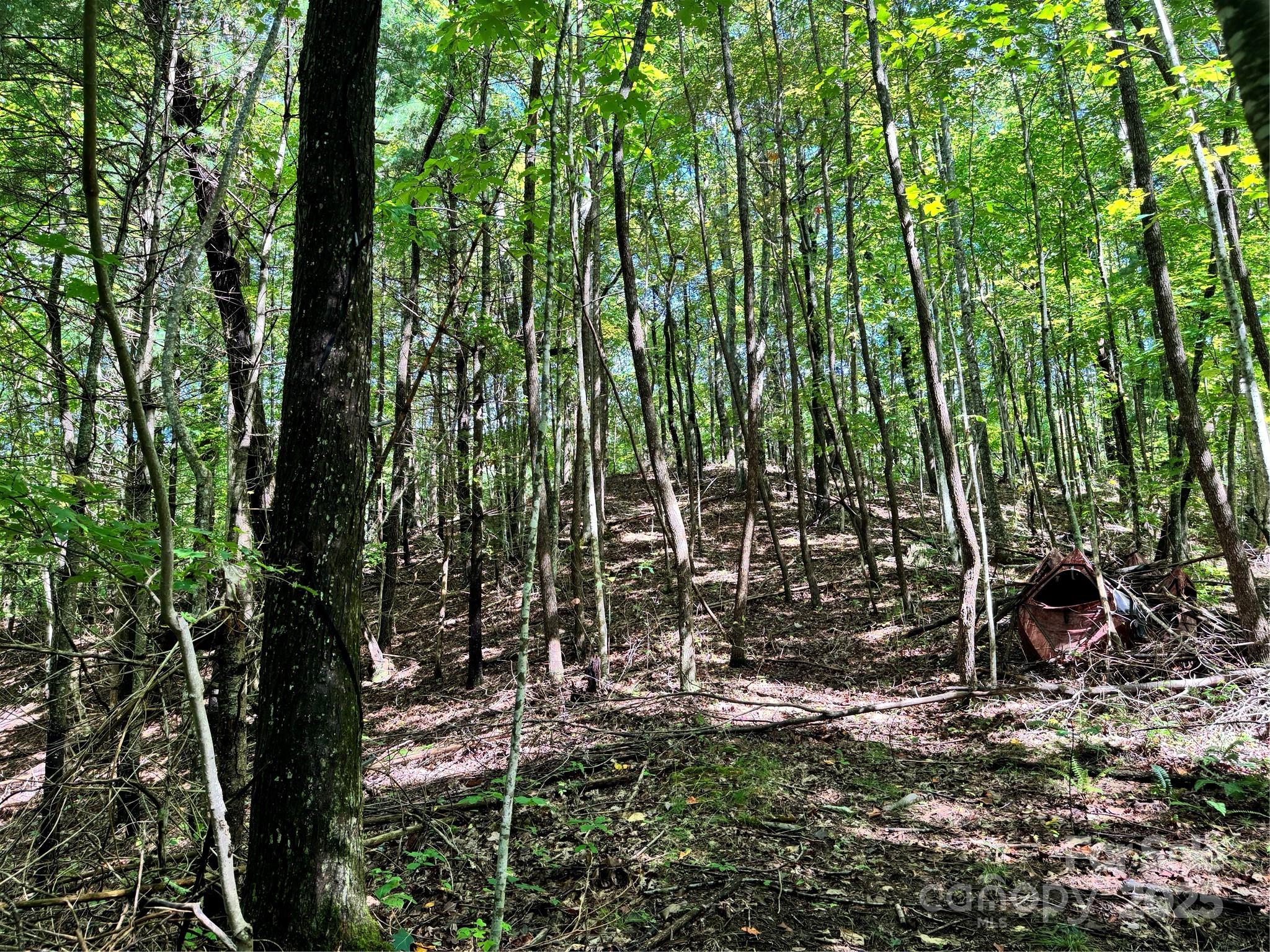 2252 Cutshall Town Road Marshall, NC 28753 - Photo 33 of 40 a view of outdoor space with deck and tree