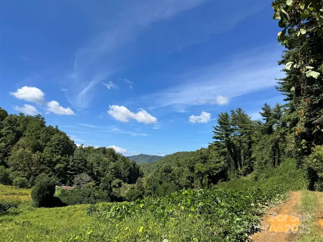 a view of outdoor space and trees