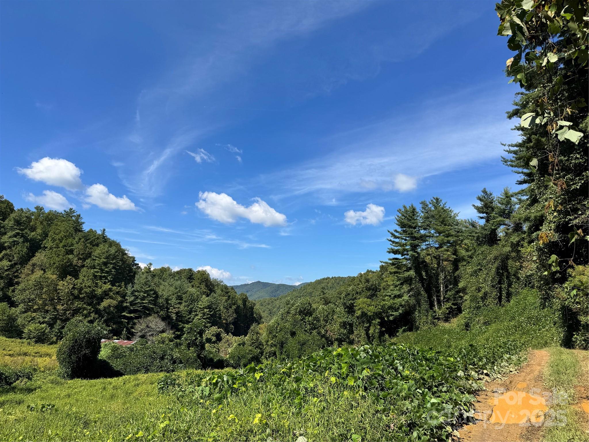 2252 Cutshall Town Road Marshall, NC 28753 - Photo 36 of 40 a view of a city with lush green forest