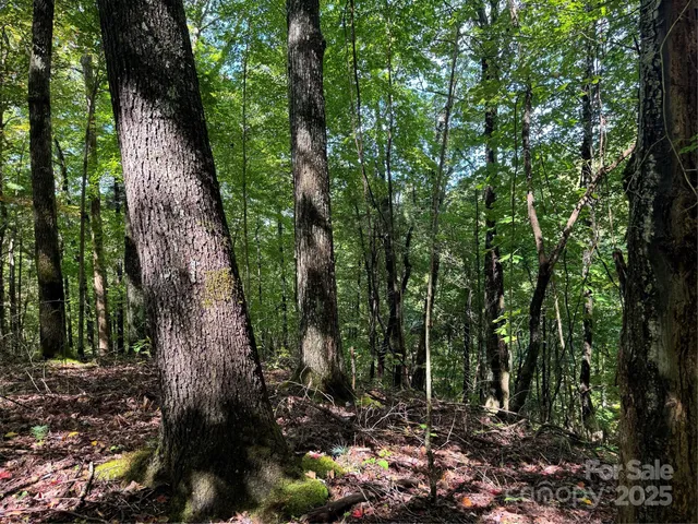 $260,000 | 2252 Cutshall Town Road, Marshall, NC 28753