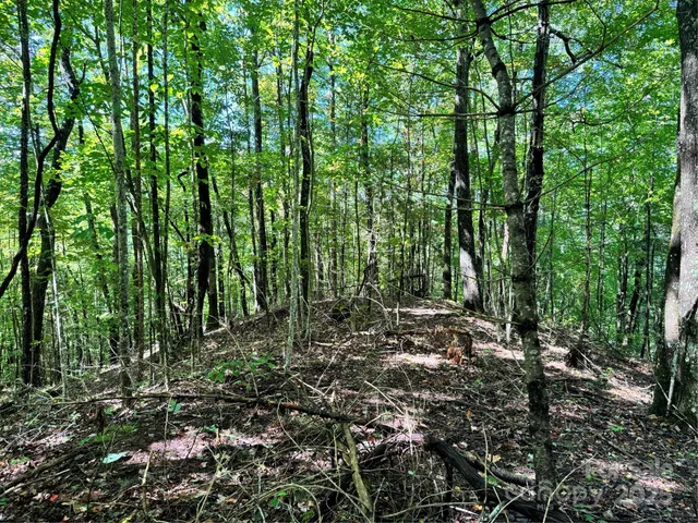 $260,000 | 2252 Cutshall Town Road, Marshall, NC 28753