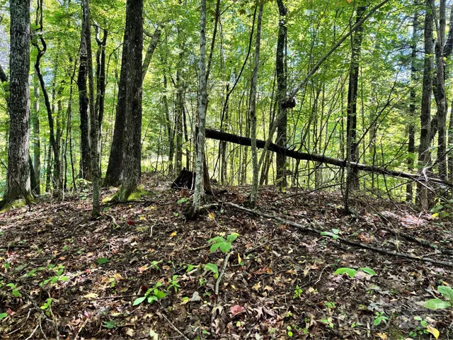 $260,000 | 2252 Cutshall Town Road, Marshall, NC 28753