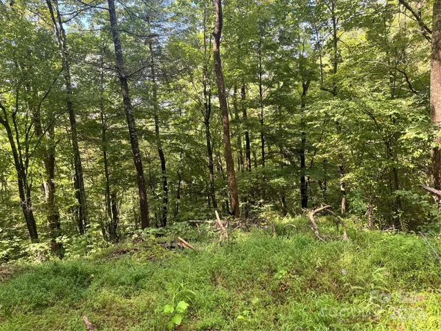 a view of outdoor space and trees