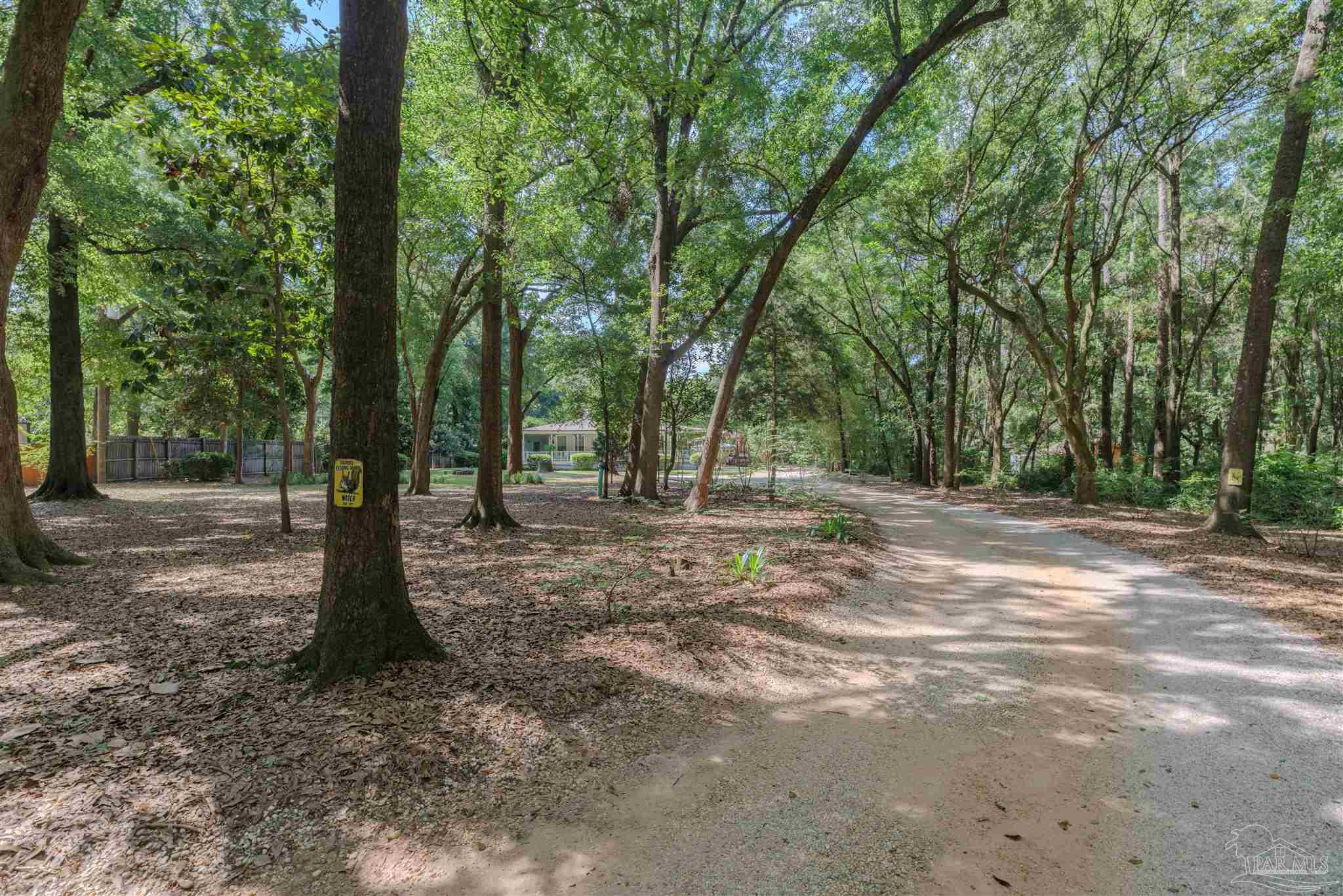 5049 Guernsey Road Pace, FL 32571 - Photo 3 of 61 a view of a forest with trees