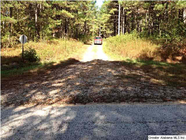 0 County Road 229, Unit 22 AC Fruithurst, AL 36262 - Photo 11 of 12