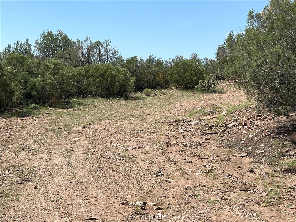 352-33-004 North Willows Ranch Road Kingman, AZ 86401 - Photo 15 of 16 Gallery Image 15