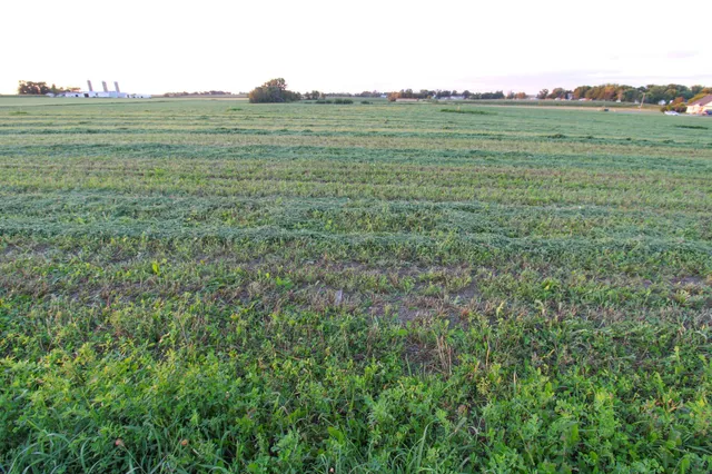 $49,800 | 312 Highland Boulevard Northeast, Melrose, MN 56352