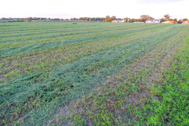 $49,800 | 312 Highland Boulevard Northeast, Melrose, MN 56352