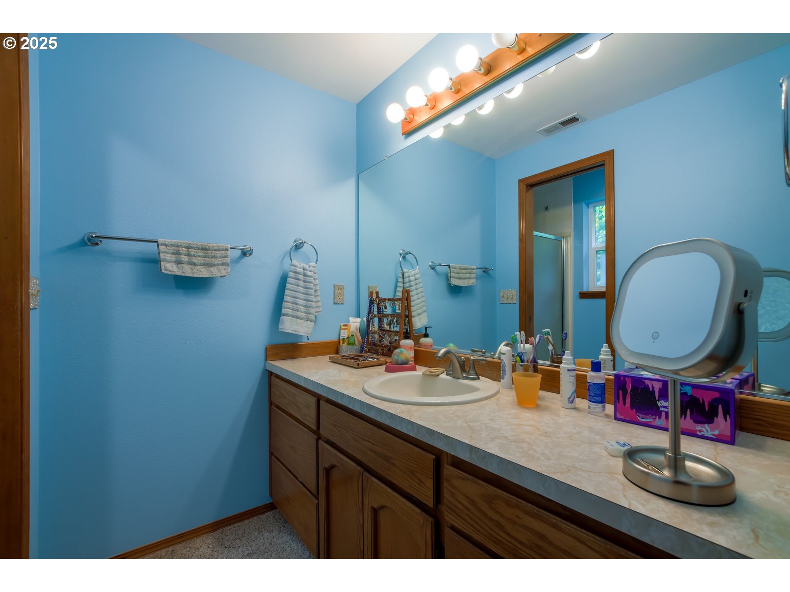 1809 Northwest 310th Street Ridgefield, WA 98642 - Photo 24 of 37 a bathroom with a sink vanity and a mirror
