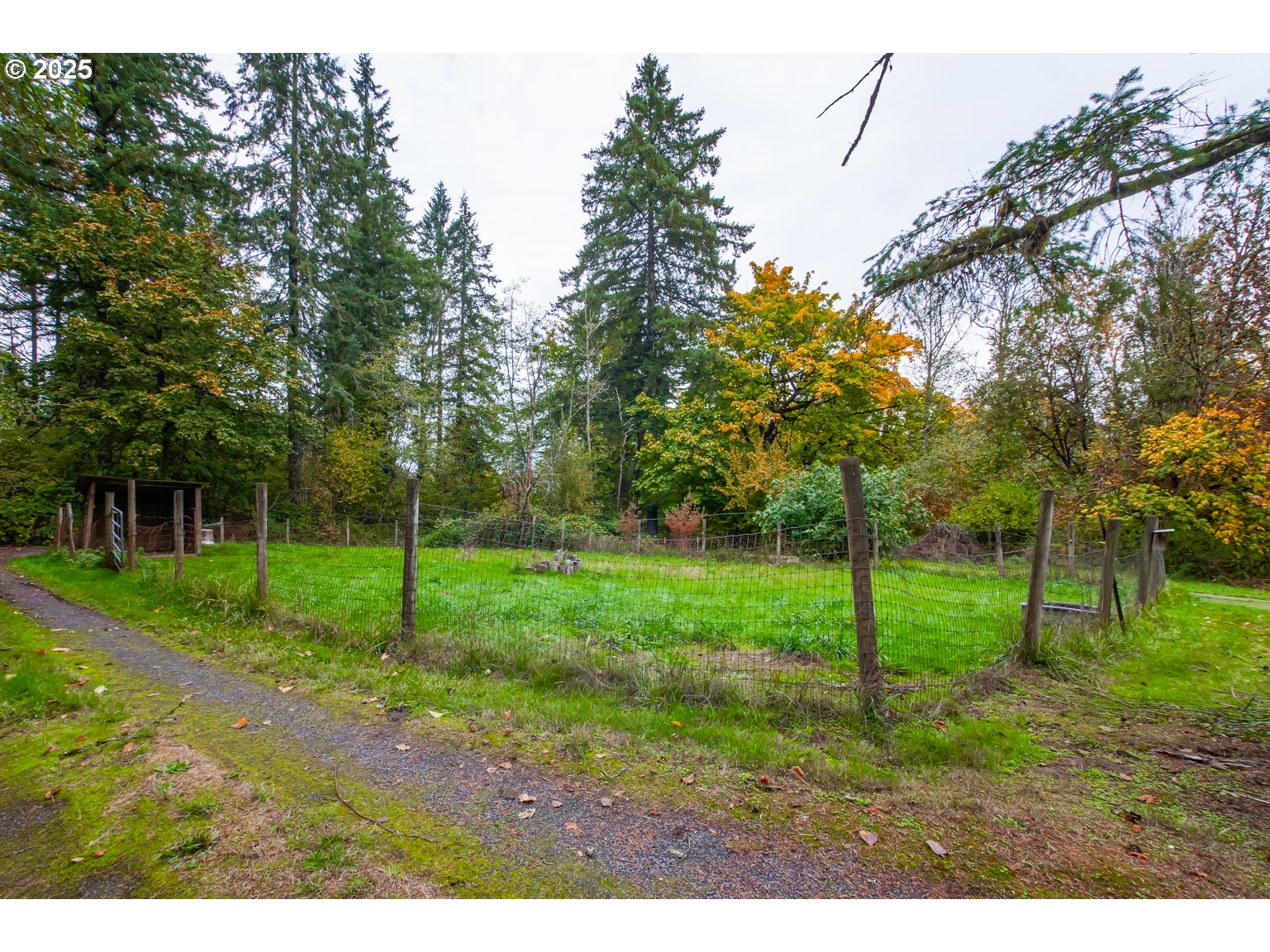 1809 Northwest 310th Street Ridgefield, WA 98642 - Photo 28 of 37 a view of a park with large trees