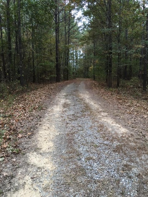 1 Permenter Road Carthage, MS 39051 - Photo 18 of 18 Photo 18