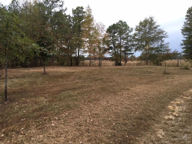 1 Permenter Road Carthage, MS 39051 - Photo 2 of 18 Photo 2