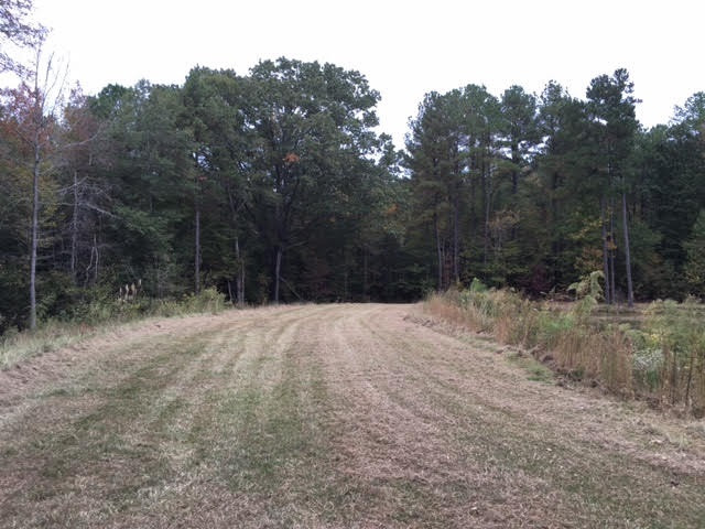 1 Permenter Road Carthage, MS 39051 - Photo 3 of 18 Photo 3