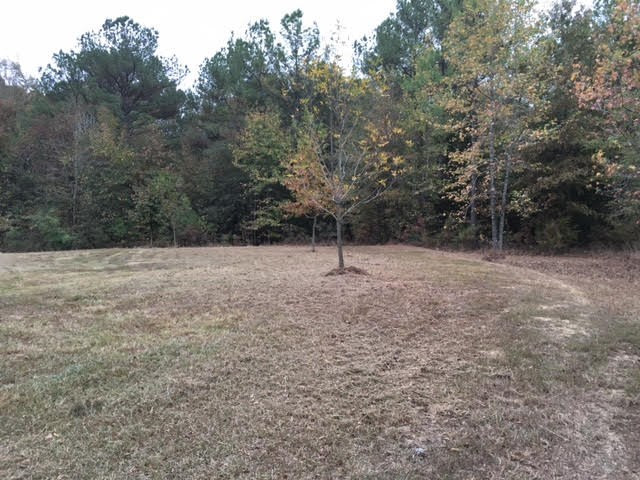 1 Permenter Road Carthage, MS 39051 - Photo 4 of 18 Photo 4
