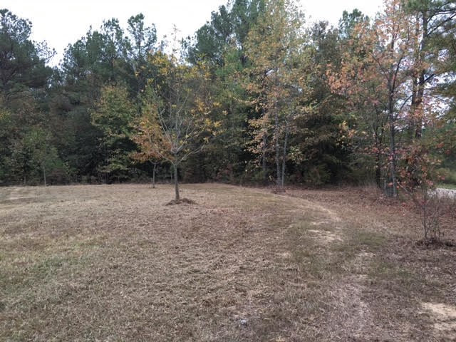 1 Permenter Road Carthage, MS 39051 - Photo 5 of 18 Photo 5