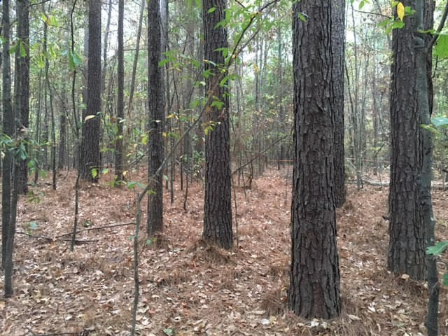 1 Permenter Road Carthage, MS 39051 - Photo 8 of 18 Photo 8