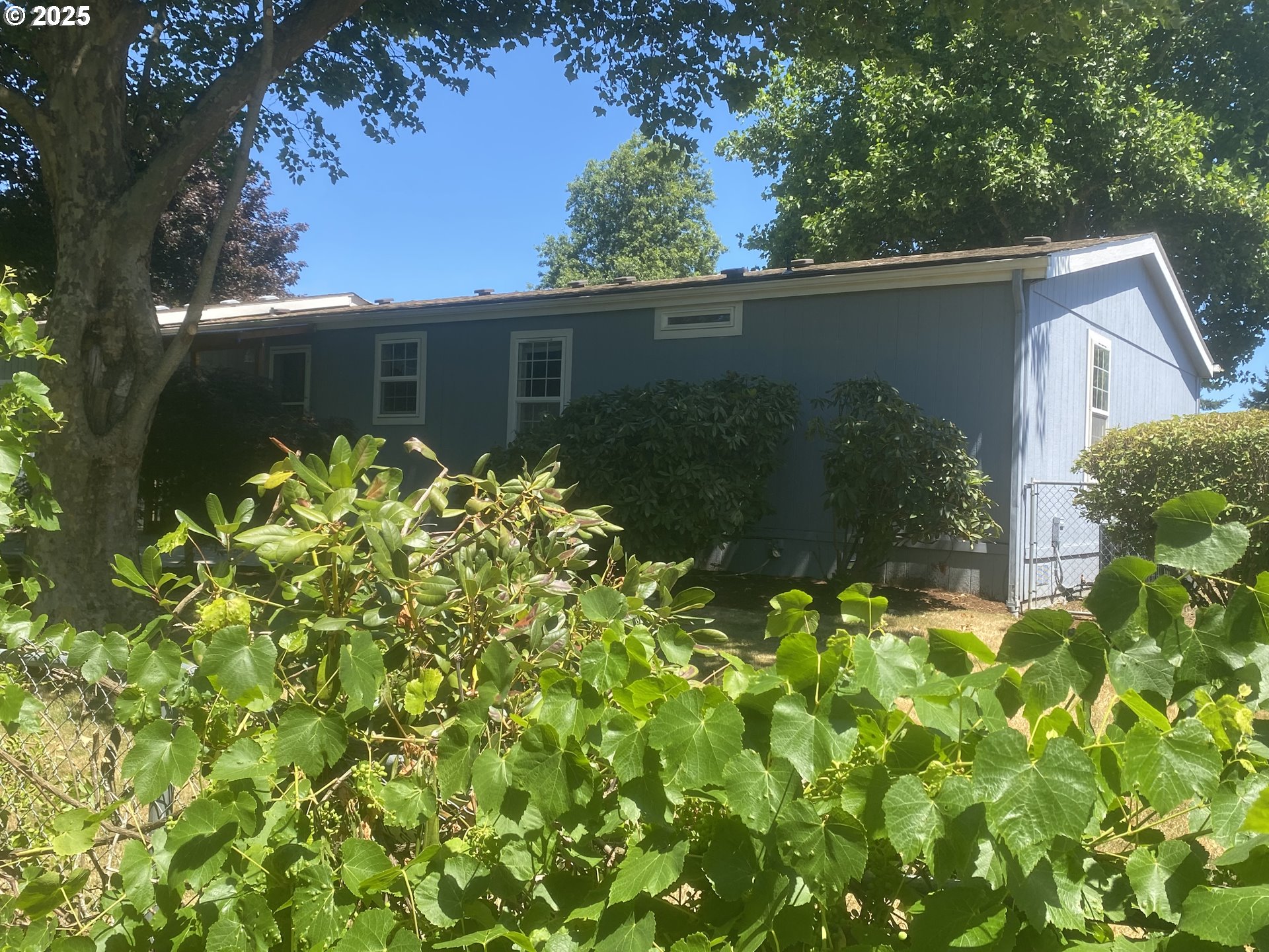27645 Snyder Road, Unit 74 Junction City, OR 97448 - Photo 33 of 42 Yard