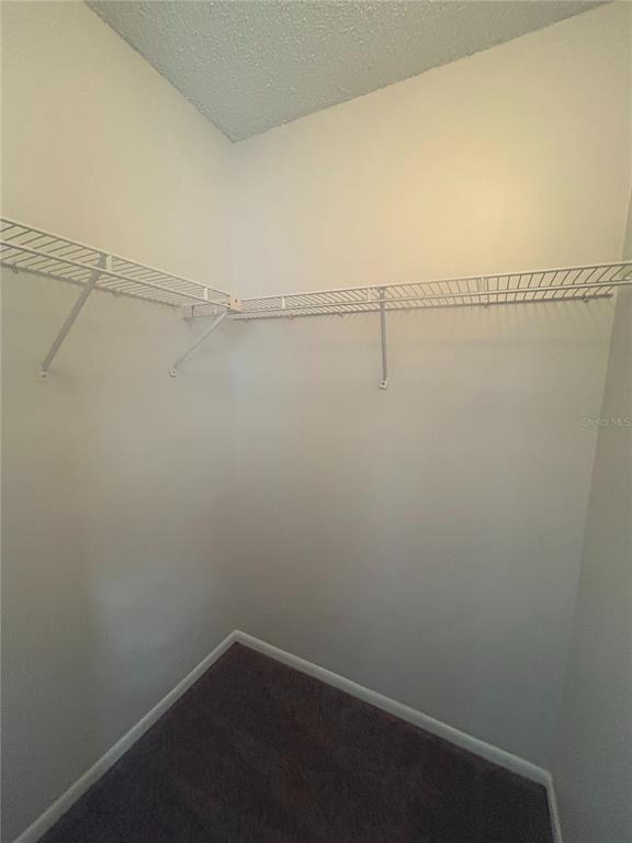 5224 Florida Holly Drive Orlando, FL 32811 - Photo 13 of 18