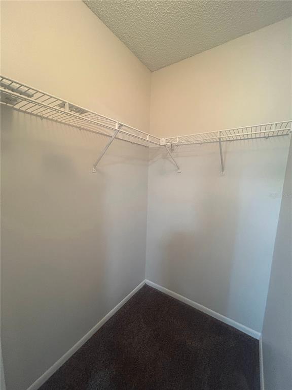 5224 Florida Holly Drive Orlando, FL 32811 - Photo 15 of 18
