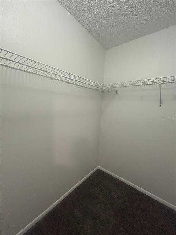 5224 Florida Holly Drive Orlando, FL 32811 - Photo 17 of 18