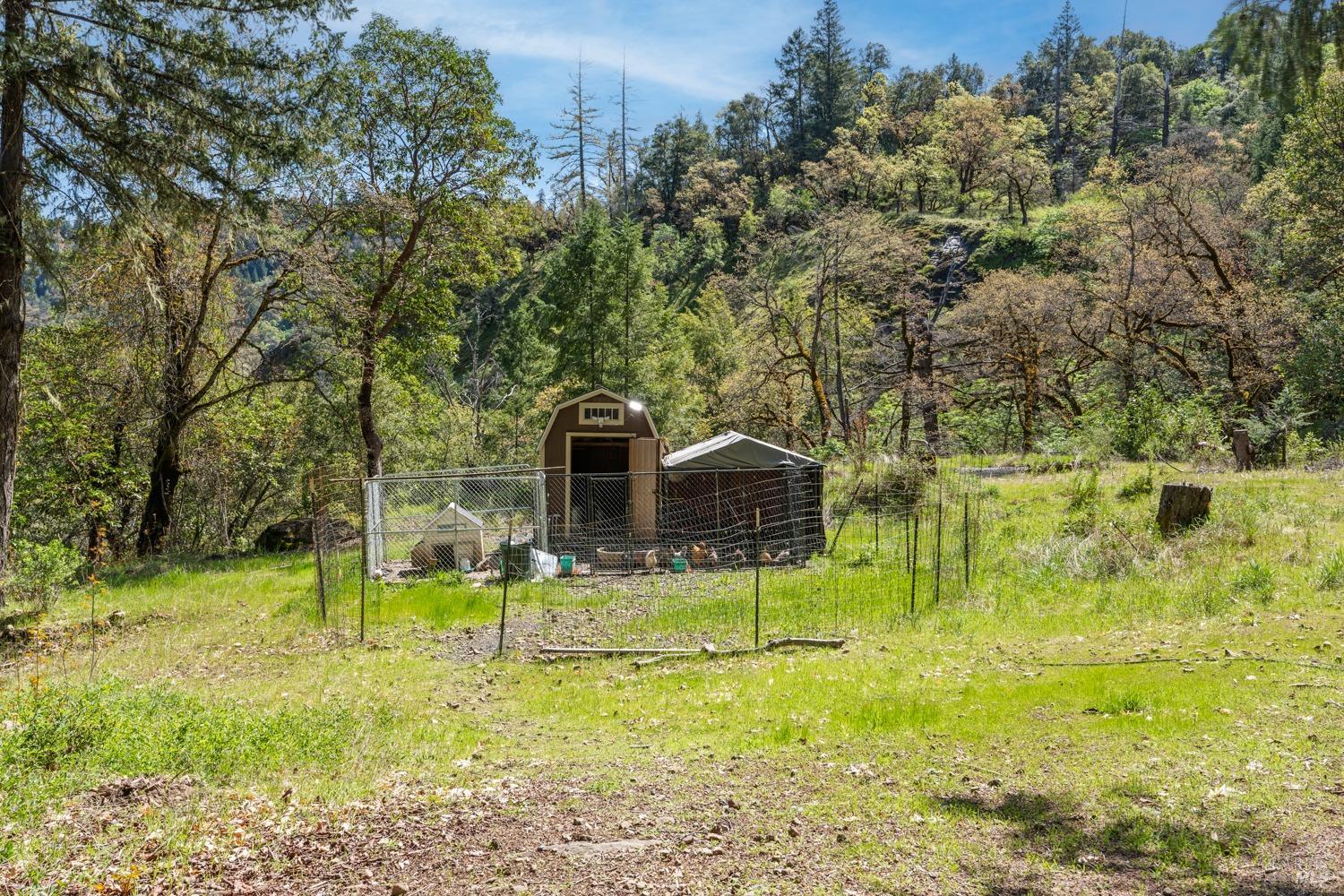 9355 Spyrock Road Laytonville, CA 95454 - Photo 19 of 22 a view of a garden