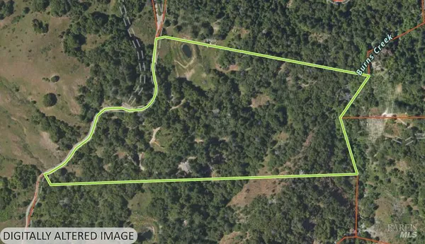 a view of a small yard