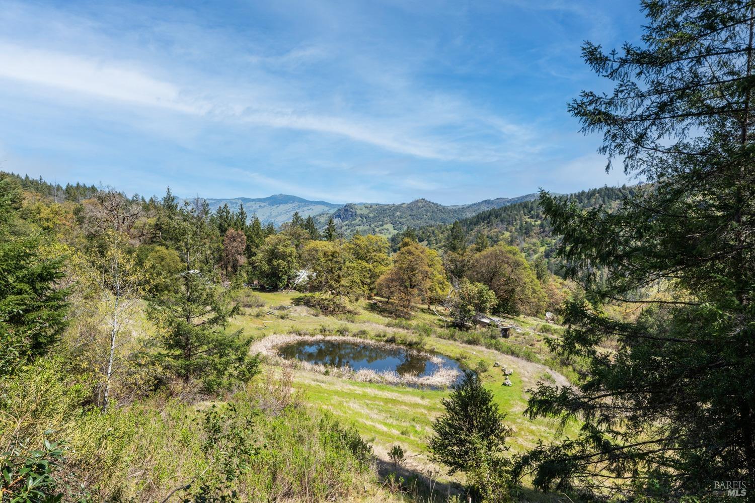 9355 Spyrock Road Laytonville, CA 95454 - Photo 3 of 22 a view of a city with lush green forest