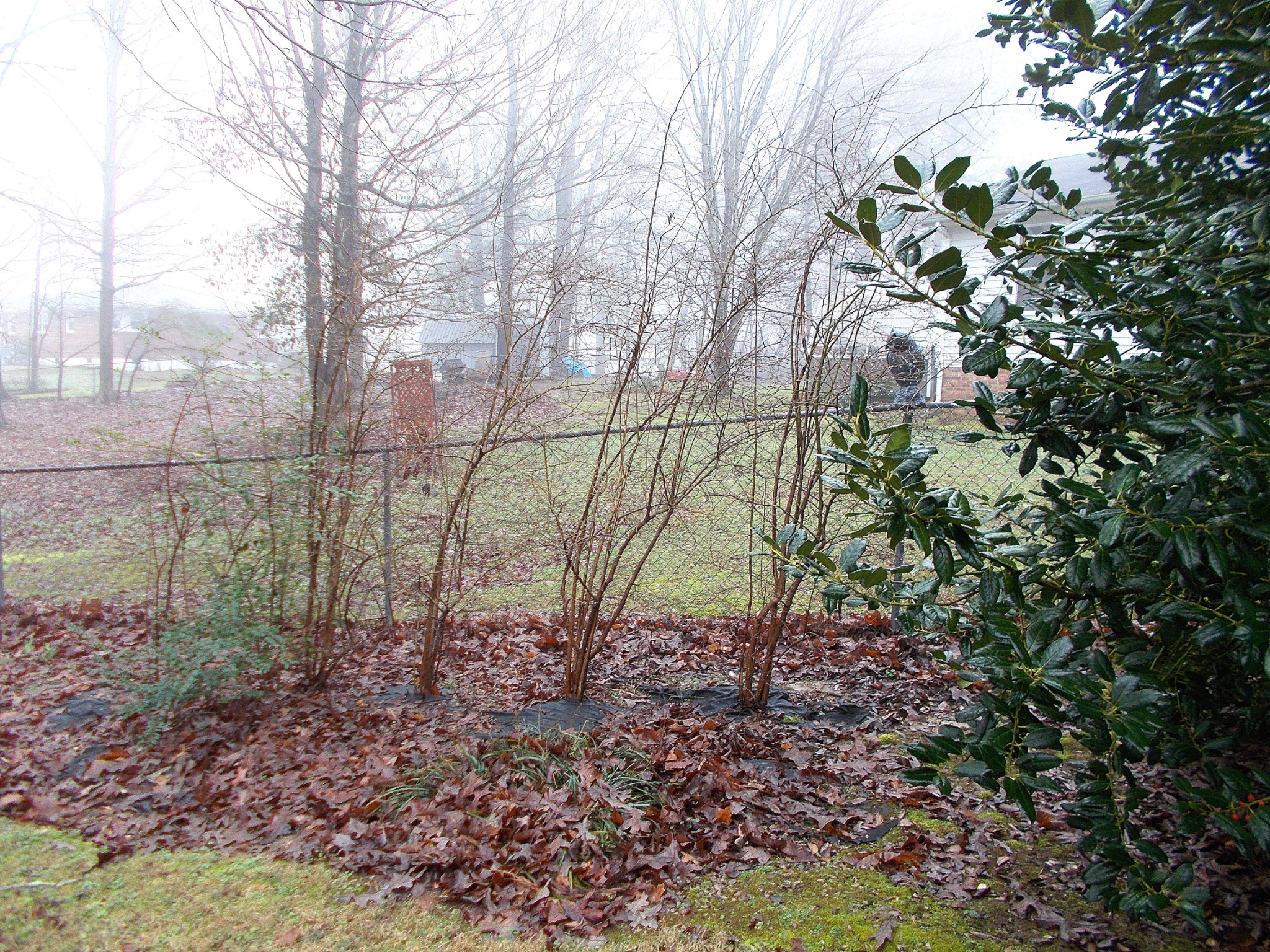 1106 Blake Road Lyles, TN 37098 - Photo 35 of 36 Gallery Image 35