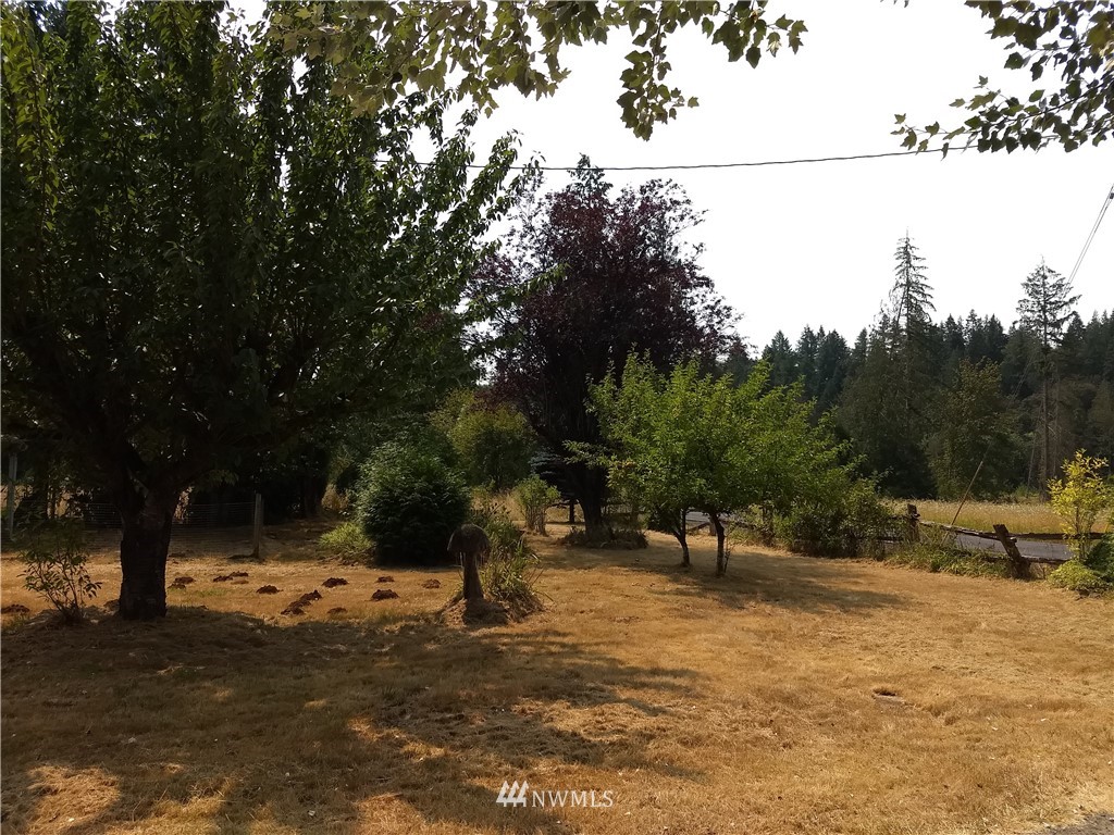 402 Stowell Road Silver Creek, WA 98585 - Photo 18 of 25 Gallery Image 18