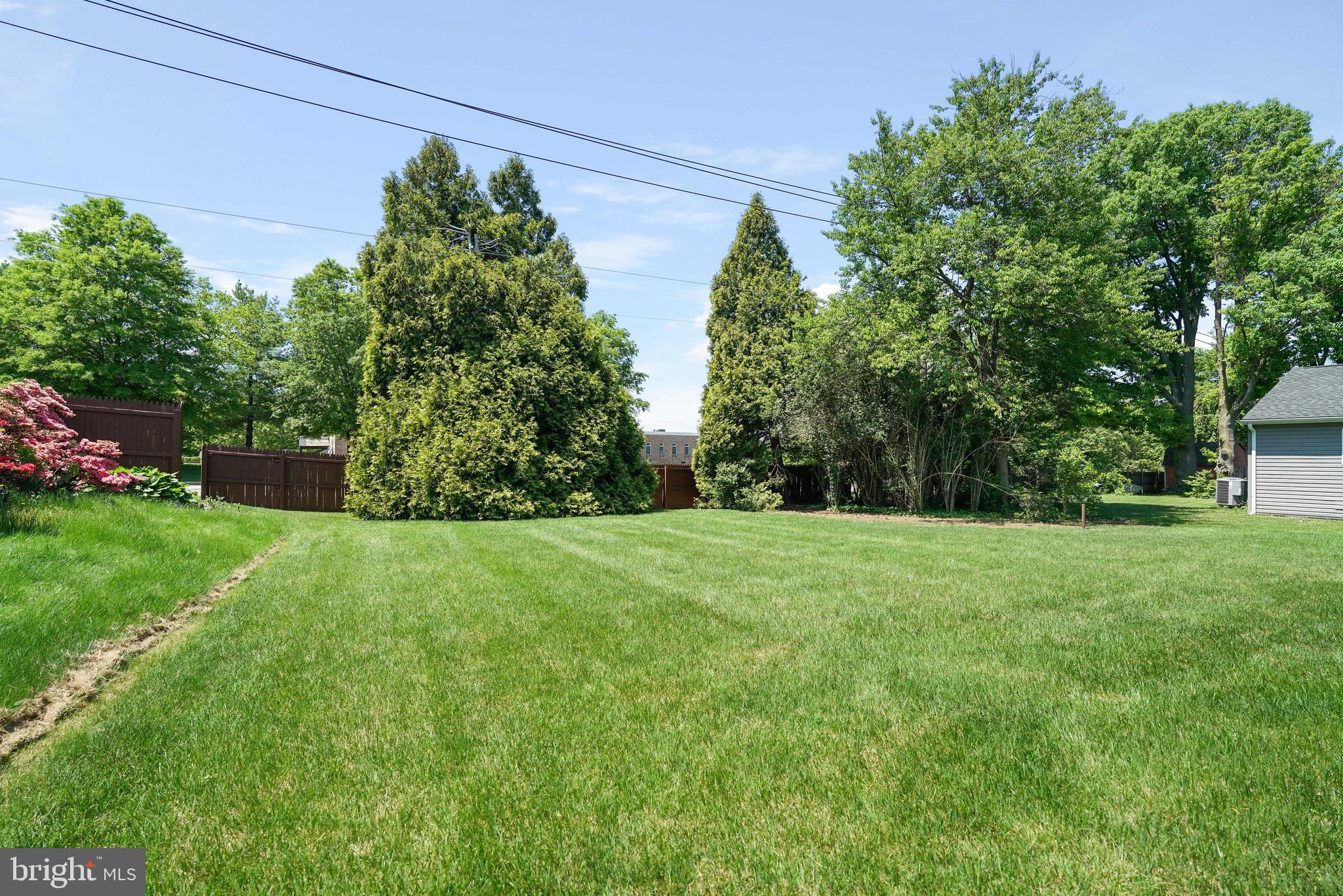 10 Alton Road Newark, DE 19711 - Photo 32 of 35 Back yard