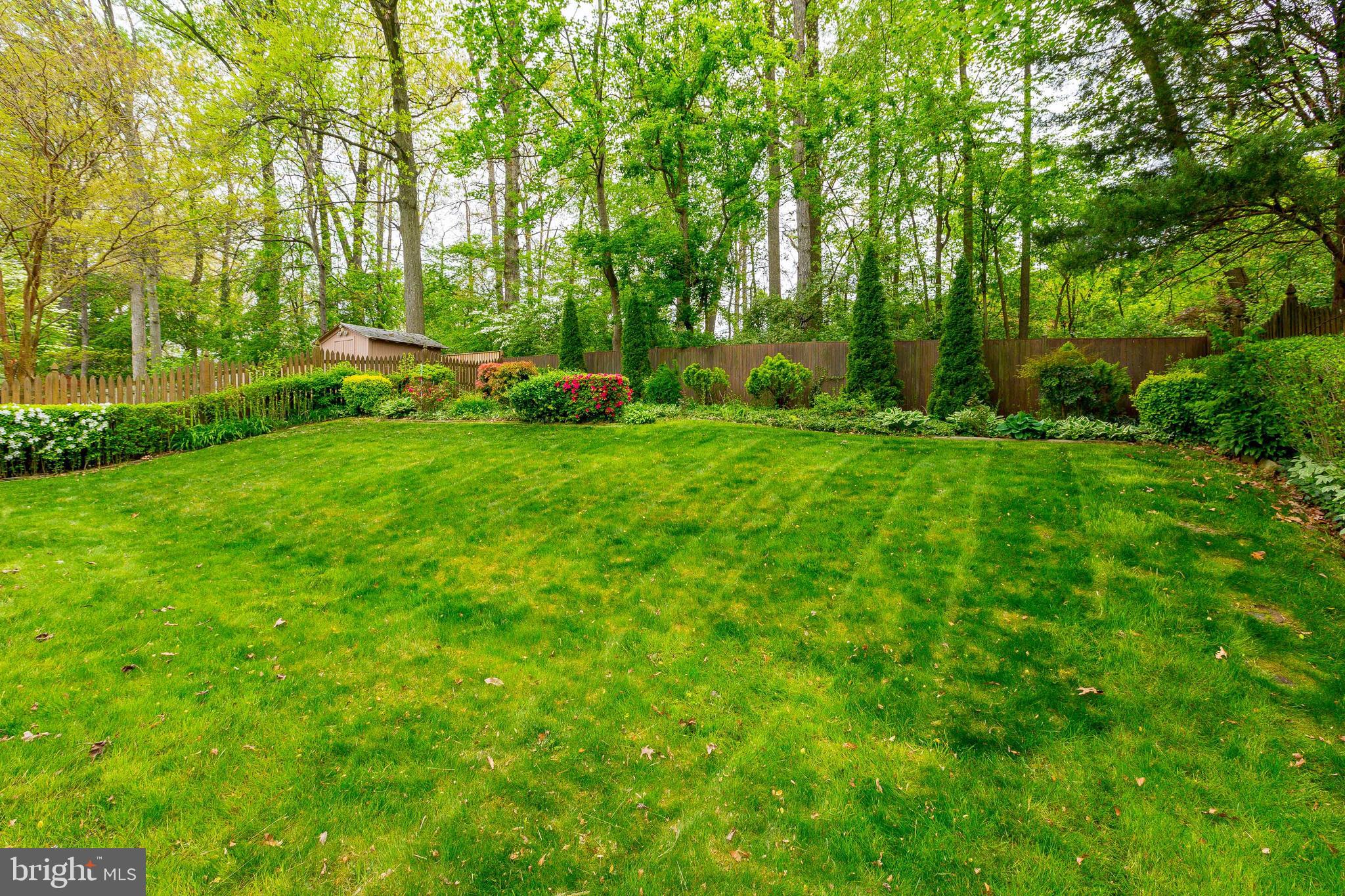 4400 Emden Street Silver Spring, MD 20906 - Photo 28 of 35 Scenic Backyard