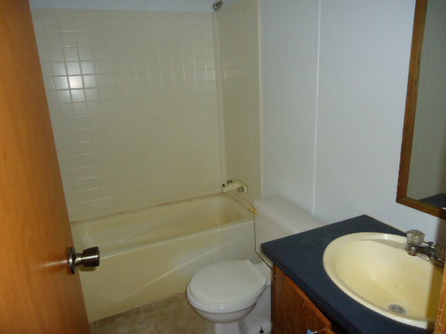 1371 Horne Road Roberta, GA 31078 - Photo 9 of 22 a bathroom with a granite countertop toilet a sink and bathtub