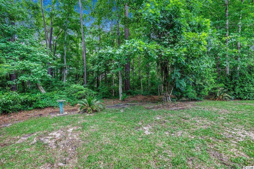 54 Willow Bend Drive Murrells Inlet, SC 29576 - Photo 23 of 38 Gallery Image 23