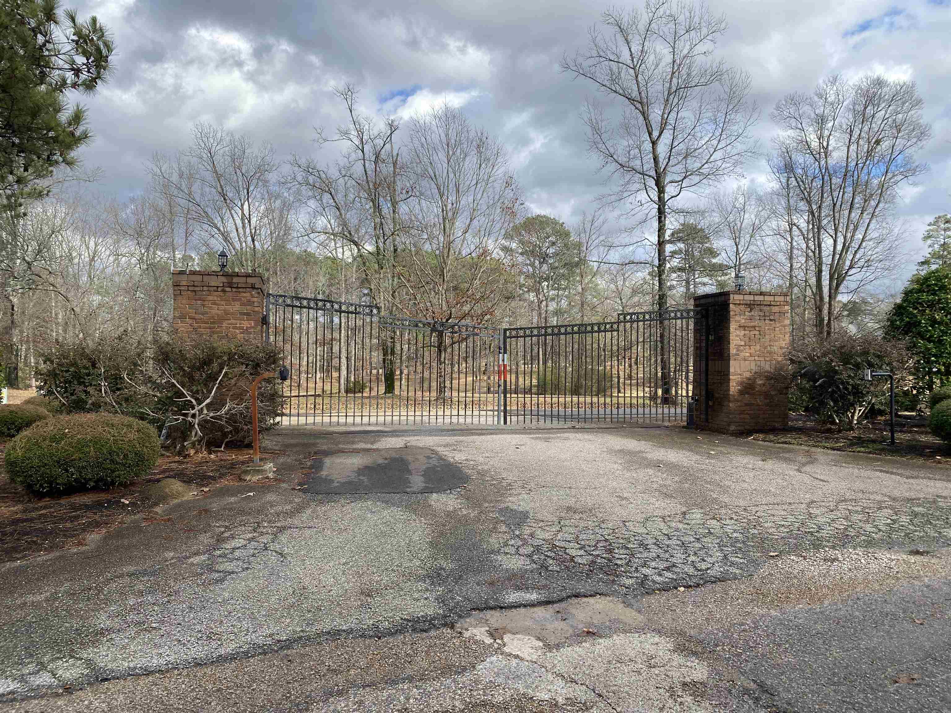 6 Legends Drive Counce, TN 38326 - Photo 2 of 4 a view of a yard with large trees
