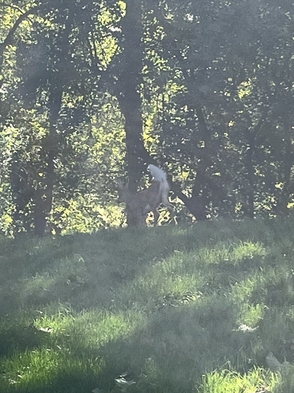 620 Edmands Road Framingham, MA 01701 - Photo 41 of 41