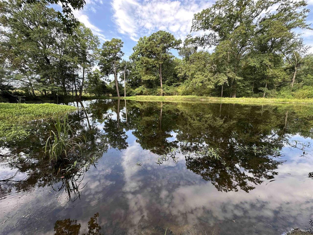 Lot F Hattaway Road Opp, AL 36467 - Photo 23 of 25 26539-c03a1132-cde5-4339-ac4a-c0267a242f