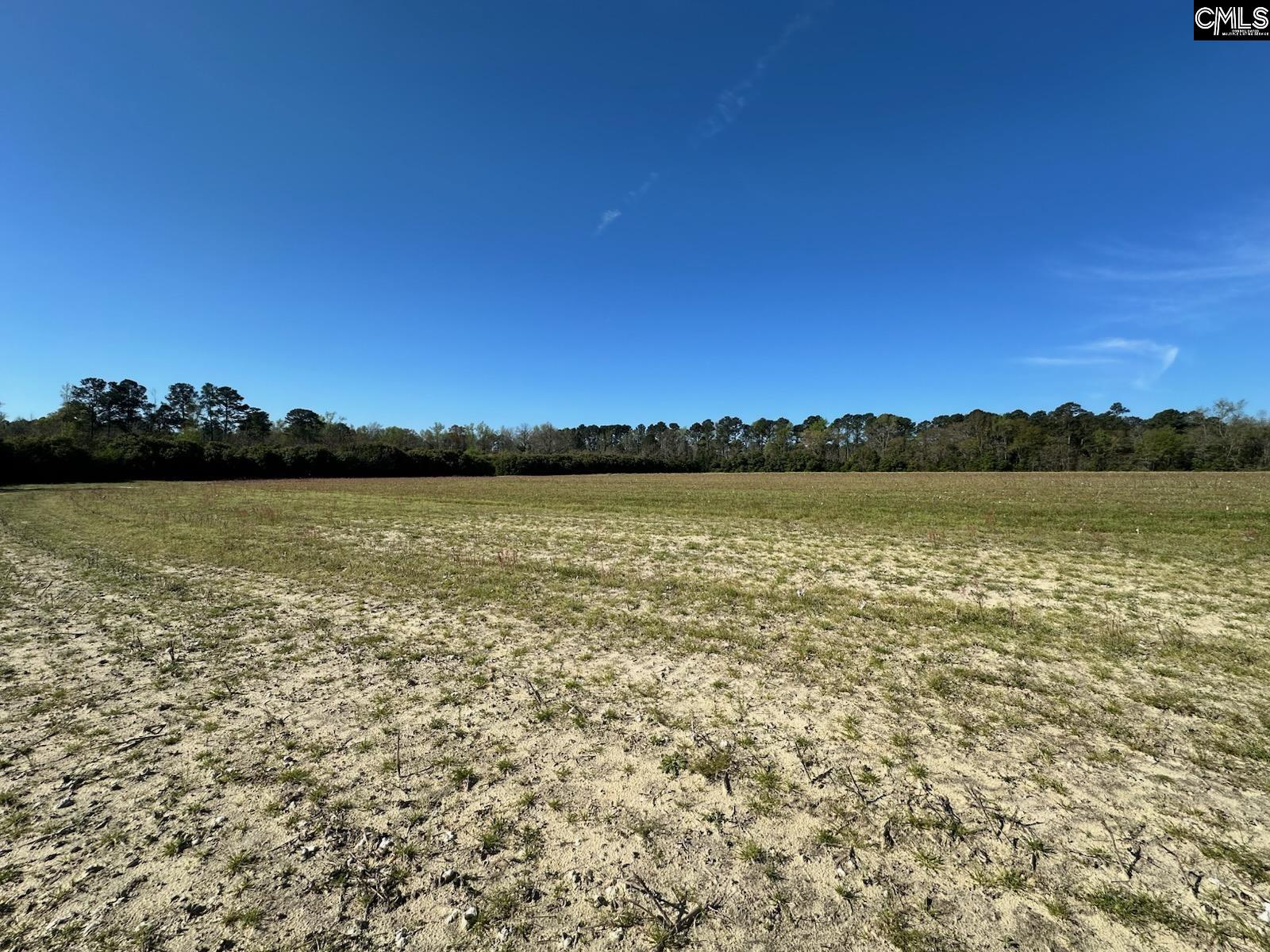 Tbd Blewer Road Cordova, SC 29039 - Photo 7 of 13