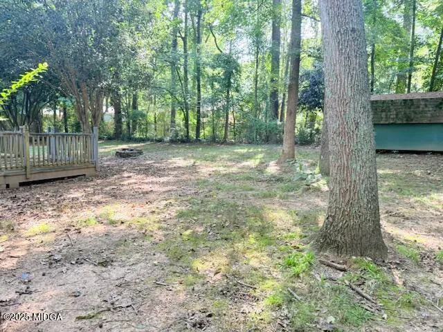 a view of a yard with a tree and wooden fence