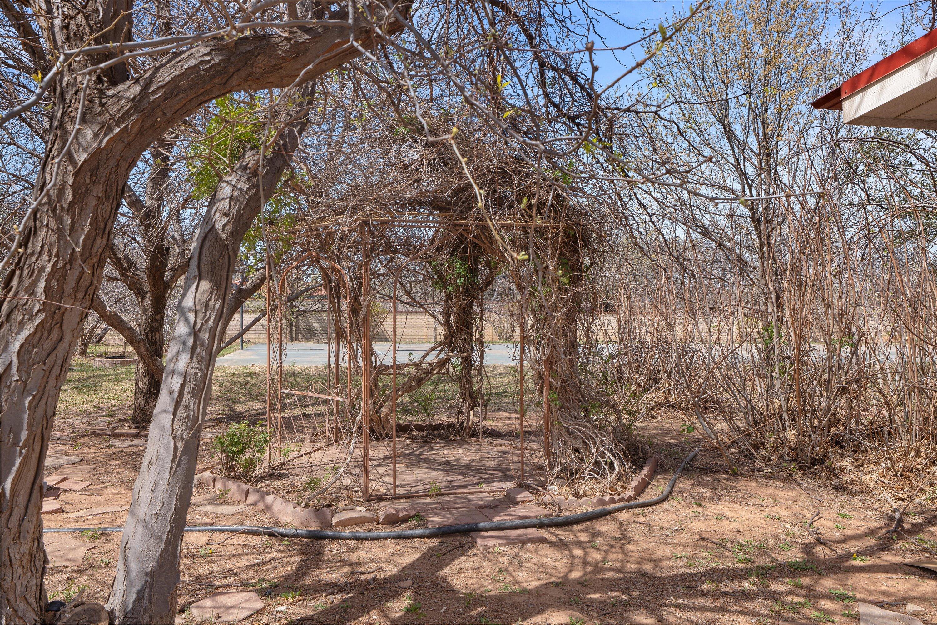 2404 York Avenue Lubbock, TX 79407 - Photo 86 of 88 a backyard of a house with lots of green space