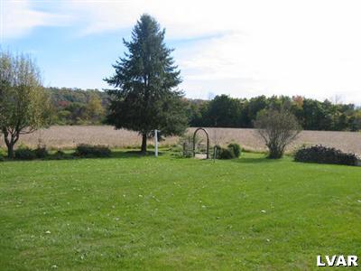 4937 Egypt Road Coplay, PA 18037 - Photo 4 of 11 Yard