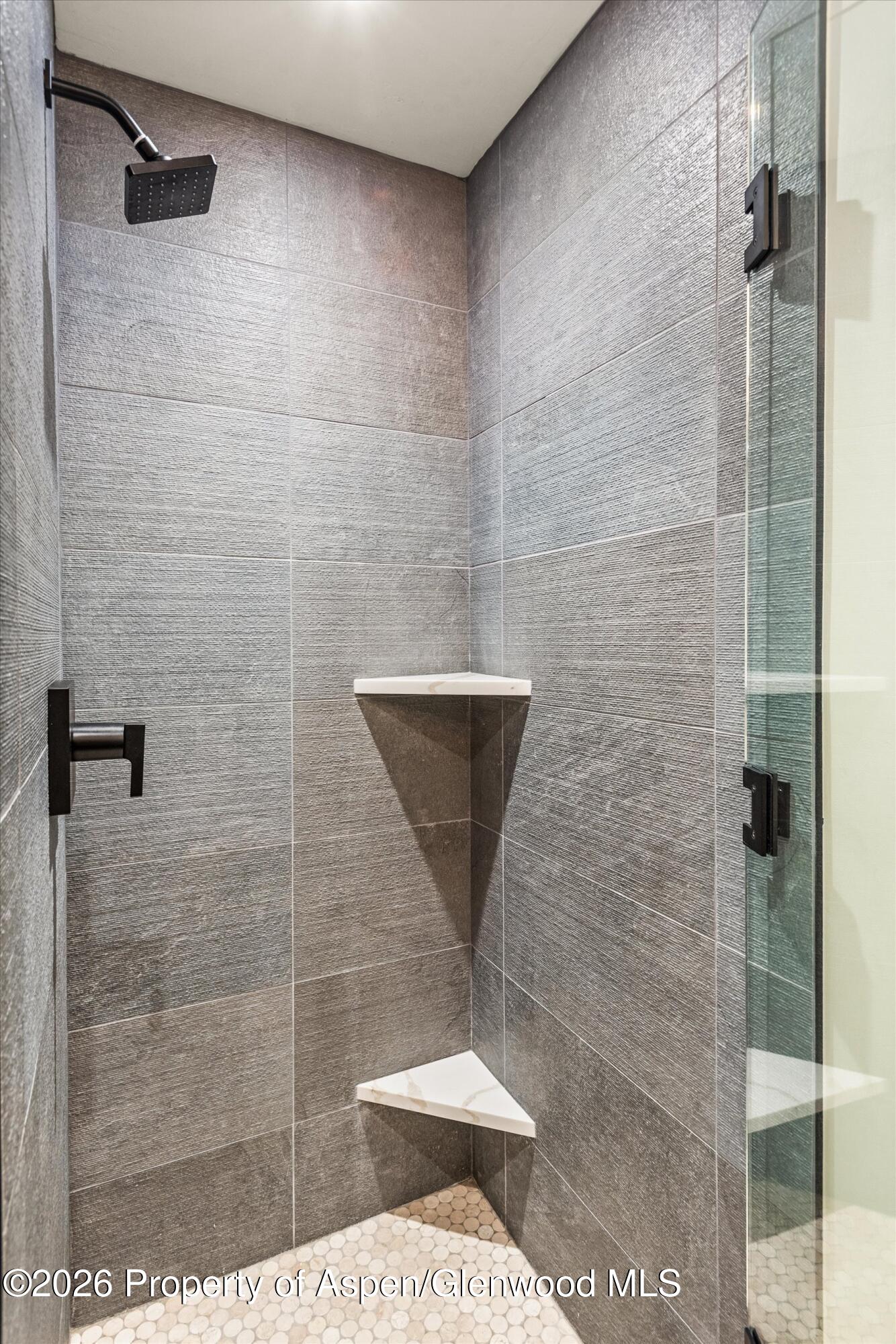 3207 Elk Lane Basalt, CO 81621 - Photo 14 of 27 primary bathroom