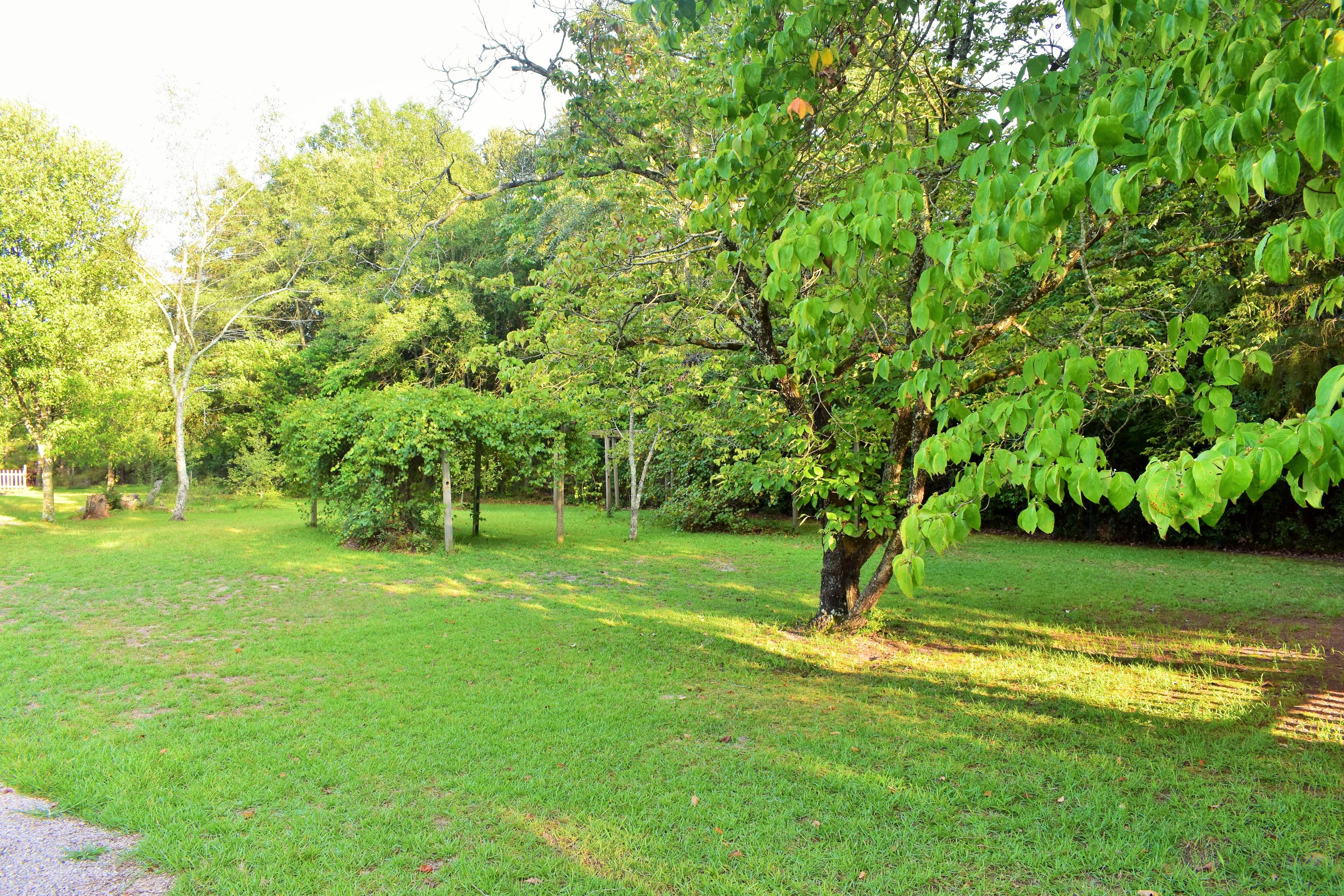 685 Wiregrass Road Hamlet, NC 28345 - Photo 54 of 55 DSC_0519
