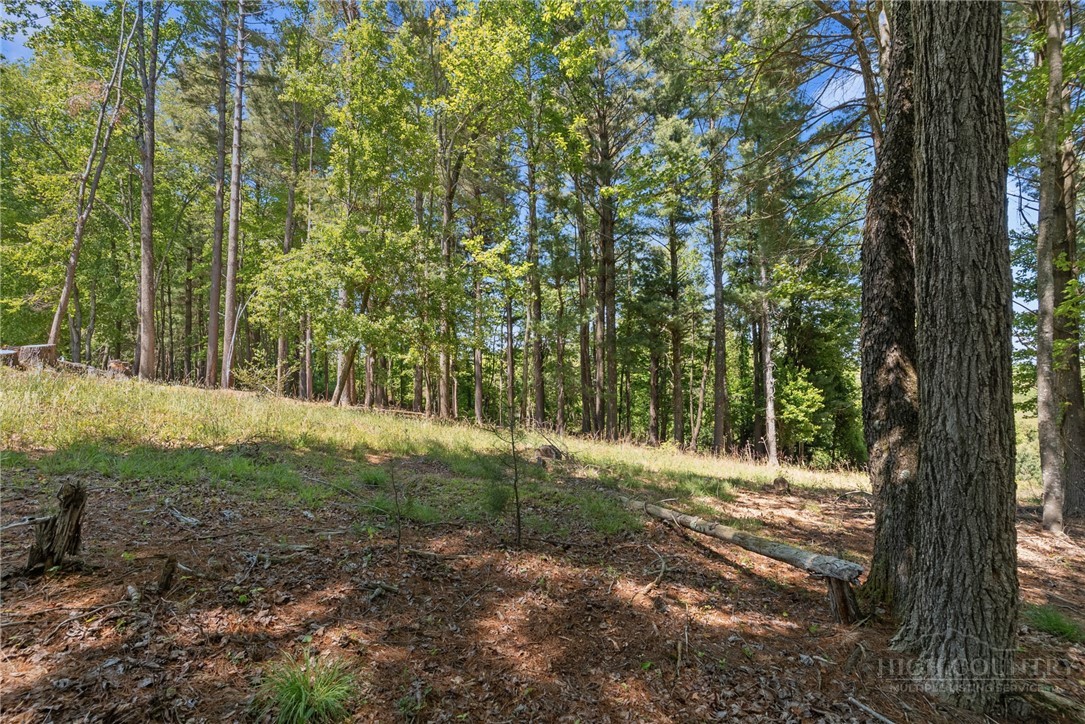 154 Folger Road Sparta, NC 28675 - Photo 27 of 37 a view of outdoor space and yard