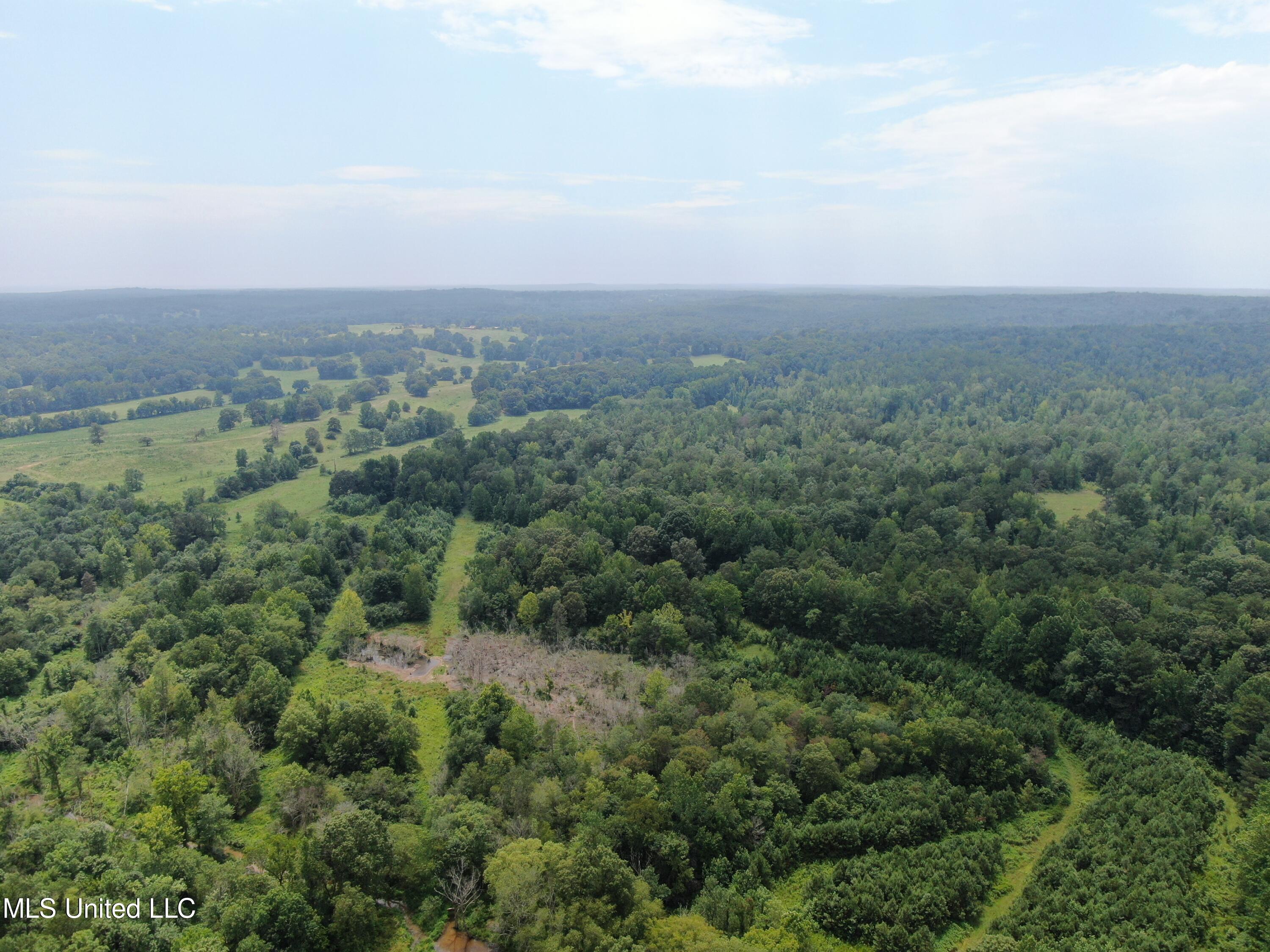 449 Emmitt Meeks Road Waterford, MS 38685 - Photo 1 of 54 land
