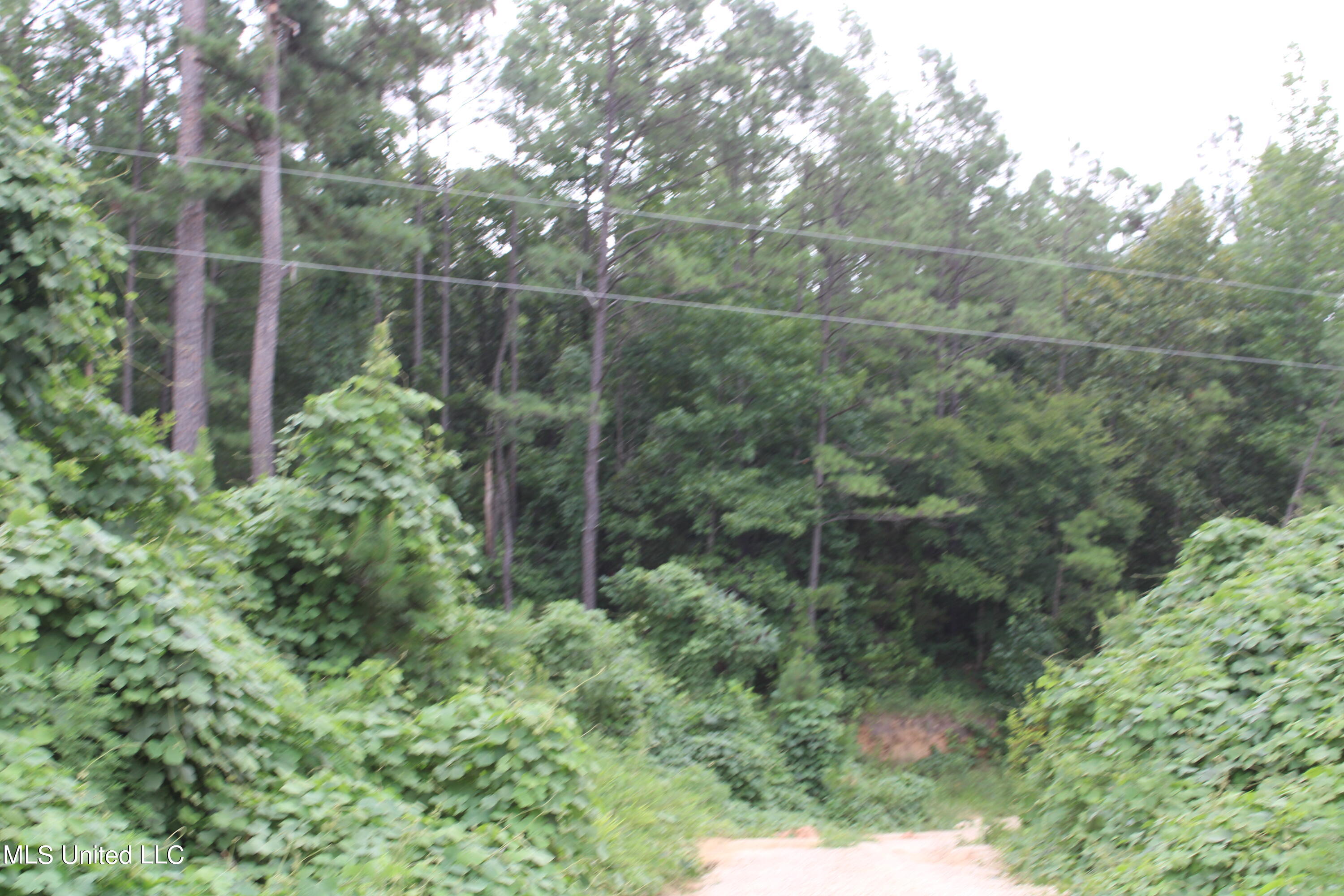 449 Emmitt Meeks Road Waterford, MS 38685 - Photo 16 of 54 IMG_1967