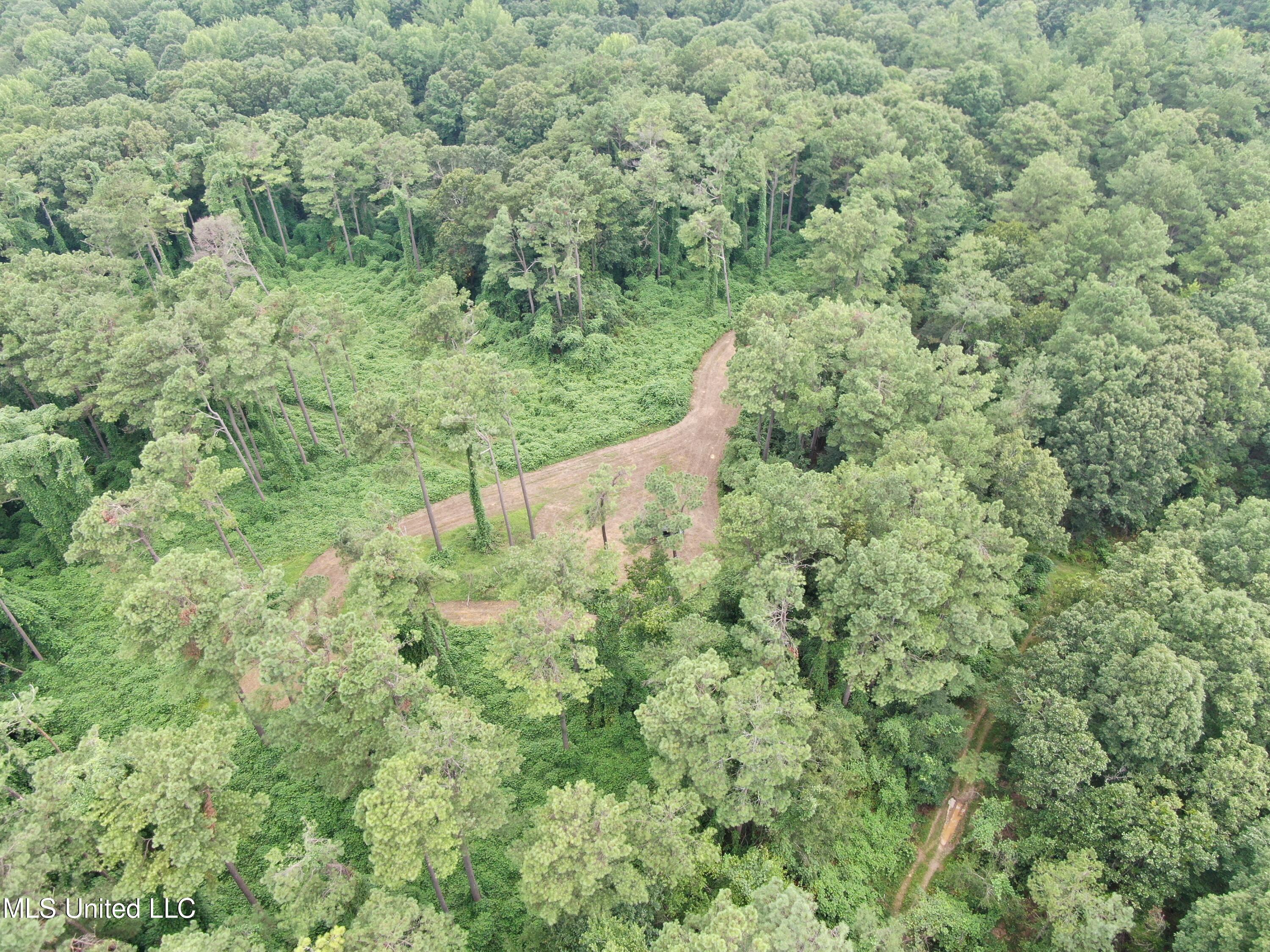 449 Emmitt Meeks Road Waterford, MS 38685 - Photo 2 of 54 DJI_0956