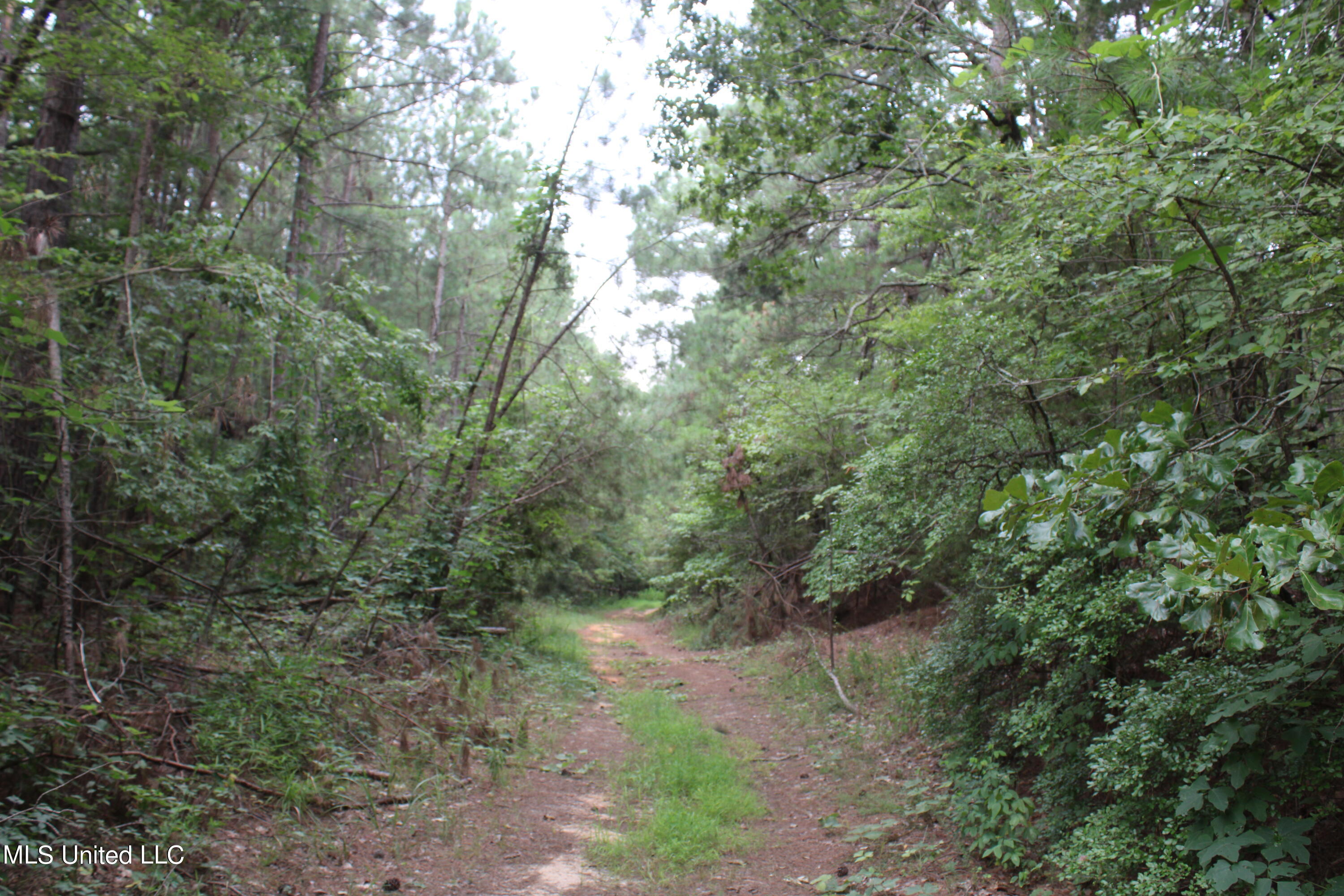 449 Emmitt Meeks Road Waterford, MS 38685 - Photo 25 of 54 IMG_1976