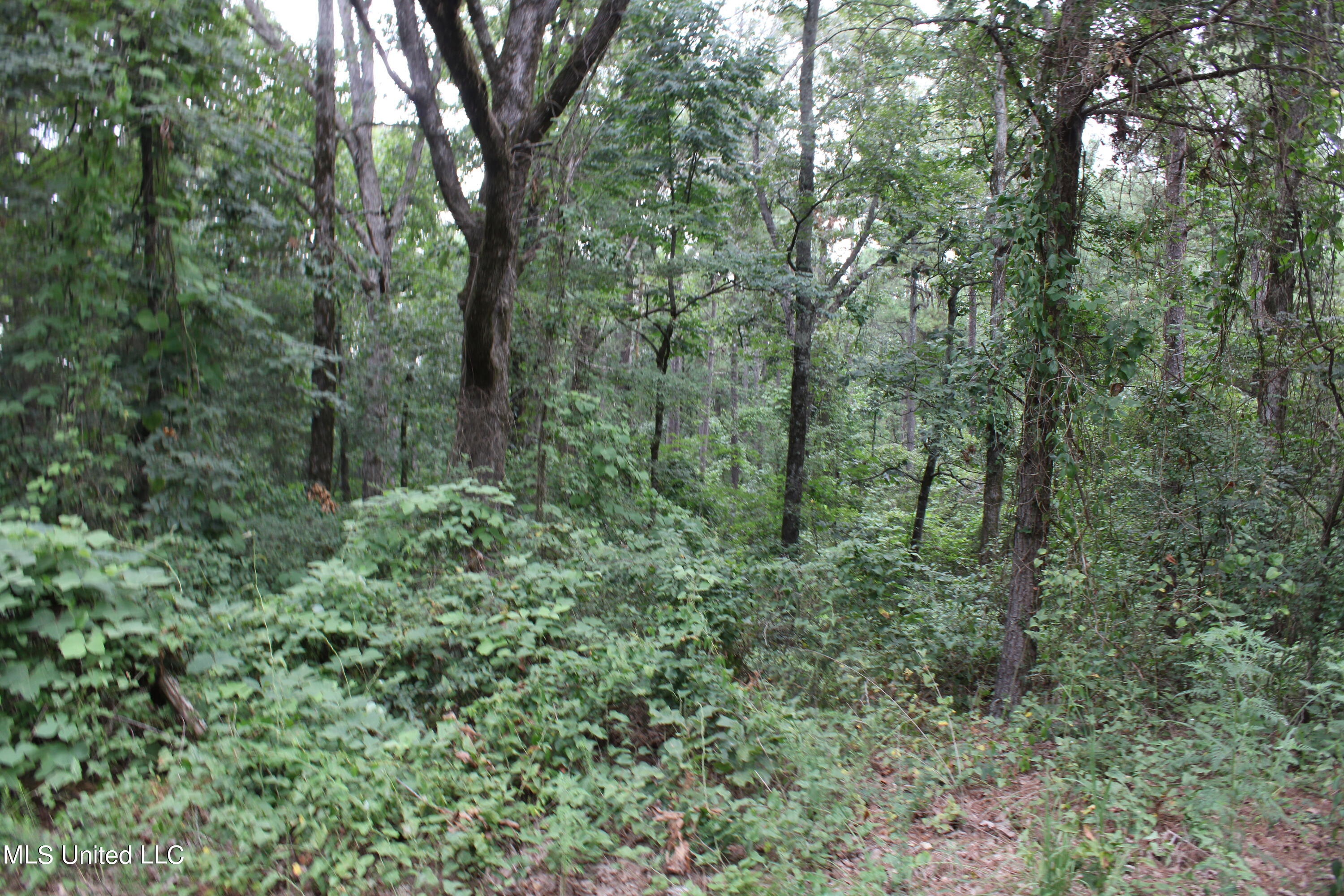 449 Emmitt Meeks Road Waterford, MS 38685 - Photo 26 of 54 IMG_1977