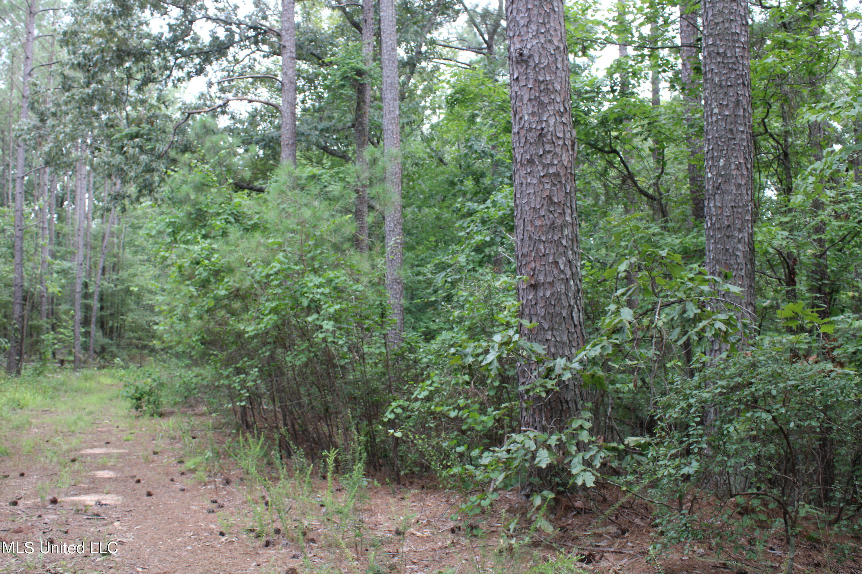 449 Emmitt Meeks Road Waterford, MS 38685 - Photo 29 of 54 IMG_1981