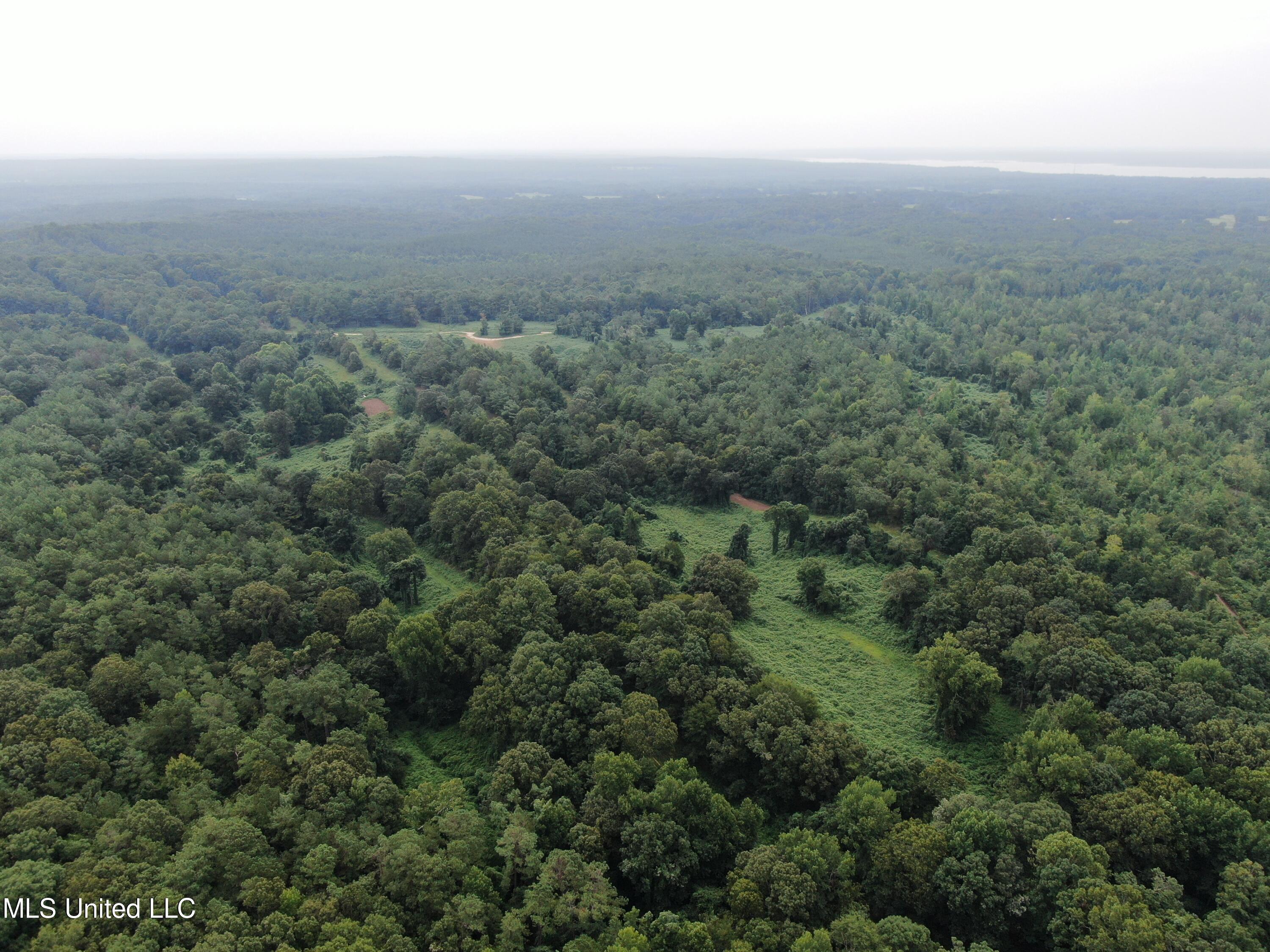449 Emmitt Meeks Road Waterford, MS 38685 - Photo 4 of 54 DJI_0959